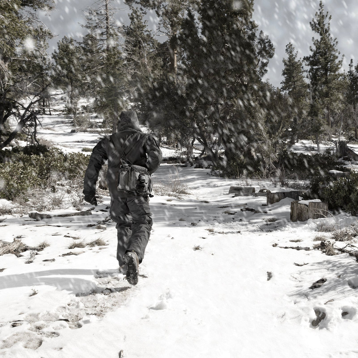 Maxpedition Jumbo Wolf Grey Versipack