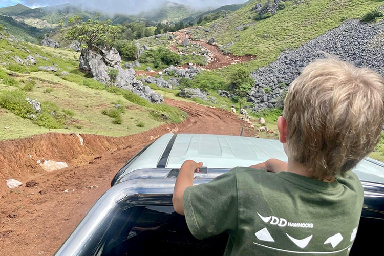 DD Hammocks Junior Icon T-Shirt - Dark Olive Green