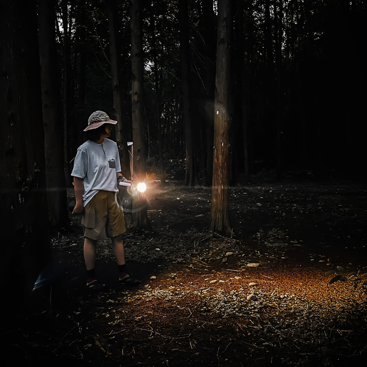 Nextool Wukong Multifunctional Lamp Camping Light