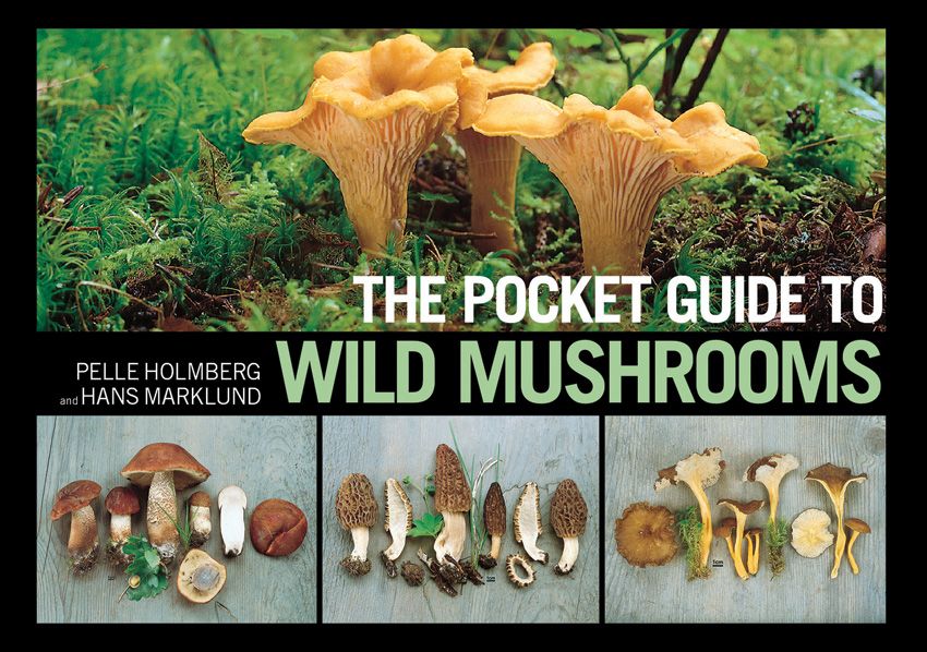 Pocket Guide To Wild Mushrooms Book