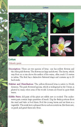 Pocket Guide to Edible Plants Book