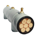 LifeSaver C1 Water Purifier - 500,000 L Capacity